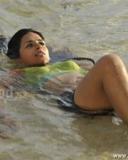 Shradha Das Spicy Photos