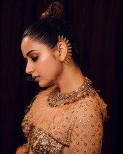 Stunning Ashika Ranganath in a Gold Net Embroidered Sequin Closed Neck High Slit Gown Photos 01