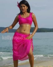 Telugu Actress Shraddha Das Hot Swimsuit Pictures