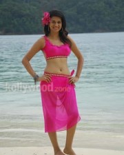 Telugu Actress Shraddha Das Hot Swimsuit Pictures