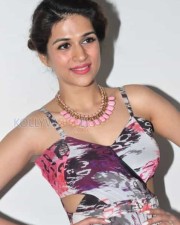 Telugu Actress Shraddha Das New Photos