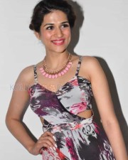 Telugu Actress Shraddha Das New Photos