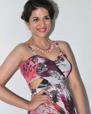 Telugu Actress Shraddha Das New Photos