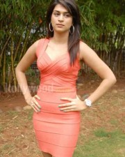 Telugu Actress Shradha Das Pictures