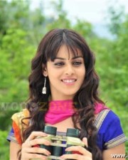 Genelia Pictures 21