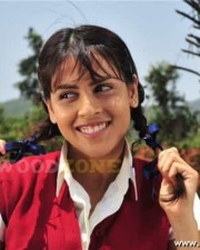 Genelia Pictures 22