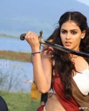 Sexy Genelia In Urumi Stills 14