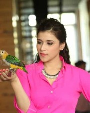 Telugu Actress Mannara Stills 03