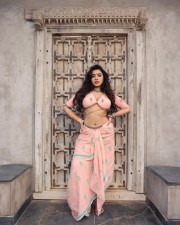 Captivating Ketika Sharma in a Sexy Pink Saree Pictures 04