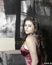 Sexy Namitha Spicy Photos 04