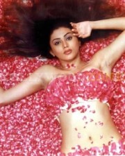 Sizzling Namitha Image Gallery 01