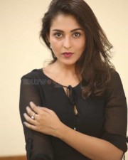 Actress Madhu Shalini At Goodachari Movie Success Meet Photos 05