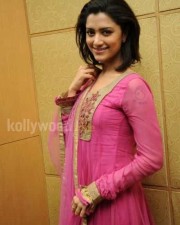 Mamta Mohandas In Pink Dress Pictures 01