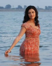 Mamta Mohandas Sexy Pictures 02