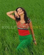 New Mamta Mohandas Pictures 08