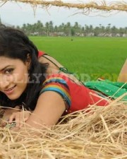 New Mamta Mohandas Pictures 09