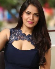 Sexy Actress Ashwini At Vinodam 100 Press Meet Pictures 47