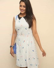 South Actress Madhu Shalini New Photos 19