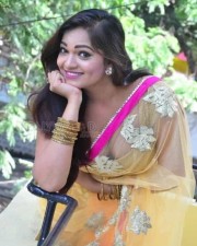 Telugu Actress Ashwini Spicy Cleavage Saree Photos 10