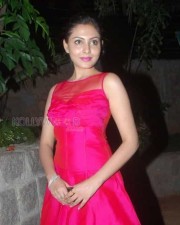 Telugu Actress Madhu Shalini Photoshoot Stills 13