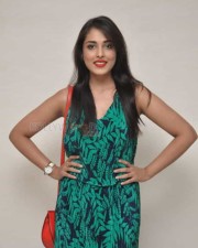 Telugu Beauty Madhu Shalini Pictures 05