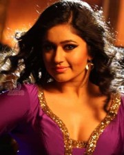 Aranmanai 2 Heroine Poonam Bajwa Sexy Photos 83