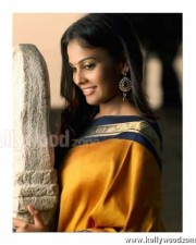 Chandini Sexy Pictures 15