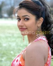 Cute Poonam Bajwa Stills 10