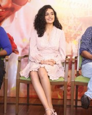 Kashish Khan at Anubhavinchu Raja Movie Press Meet Photos 14