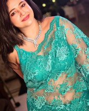 Sexy Poonam Bajwa in a See Through Turquoise Saree with Sleeveless Blouse Photos 02