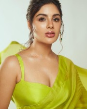 Actress Samyuktha Menon in a Lime Green Organza Saree Pictures 07