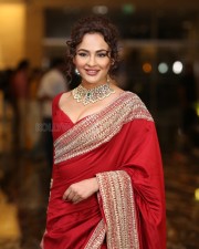 Actress Seerat Kapoor at Manamey Movie Pre Release Event Photos 31