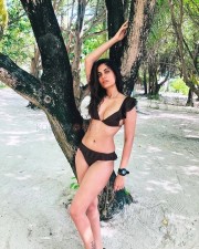 Adbhut Actress Shreya Dhanwanthary in a Brown Bikini Photos 03