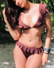 Bold Shreya Dhanwanthary in a Brown Bikini Photos 01