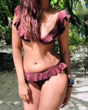 Bold Shreya Dhanwanthary in a Brown Bikini Photos 02