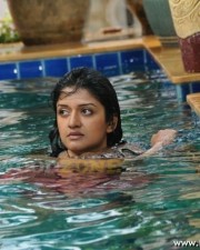 Sexy Vimala Raman Pics 14