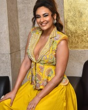 Telugu Actress Seerat Kapoor At Usha Parinayam Pre Release Event Pictures 11