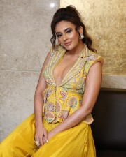 Telugu Actress Seerat Kapoor At Usha Parinayam Pre Release Event Pictures 26