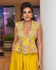 Telugu Actress Seerat Kapoor At Usha Parinayam Pre Release Event Pictures 42