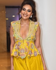 Telugu Actress Seerat Kapoor At Usha Parinayam Pre Release Event Pictures 52