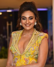 Telugu Actress Seerat Kapoor At Usha Parinayam Pre Release Event Pictures 59