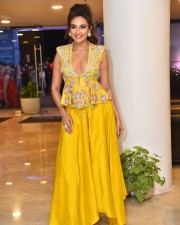 Telugu Actress Seerat Kapoor At Usha Parinayam Pre Release Event Pictures 63