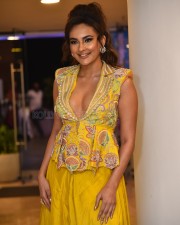 Telugu Actress Seerat Kapoor At Usha Parinayam Pre Release Event Pictures 66