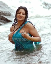 Vimala Raman Hot Pic