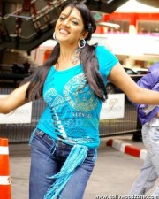 Vimala Raman Hot Pics 27