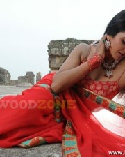 Vimala Raman Hot Stills 11