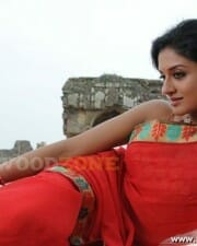 Vimala Raman Hot Stills 13