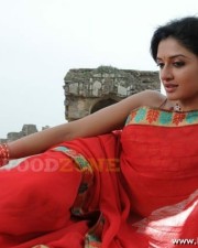 Vimala Raman Hot Stills 14