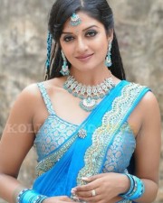 Vimala Raman Hot Stills 27