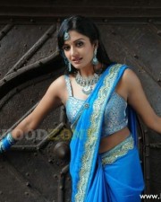 Vimala Raman Hot Stills 35